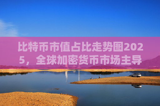 比特币市值占比走势图2025,全球加密货币市场主导地位分析