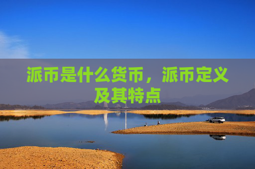 派币是什么货币,派币定义及其特点