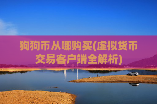 狗狗币从哪购买(虚拟货币交易客户端全解析)