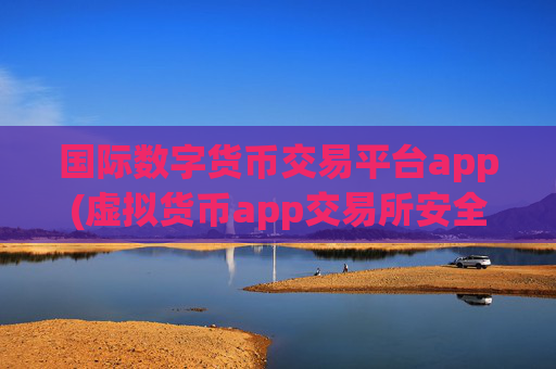 国际数字货币交易平台app(虚拟货币app交易所安全性评估)