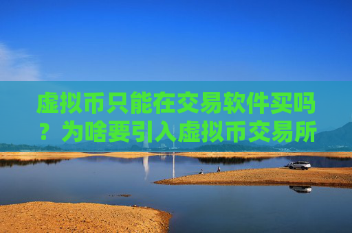 虚拟币只能在交易软件买吗？为啥要引入虚拟币交易所