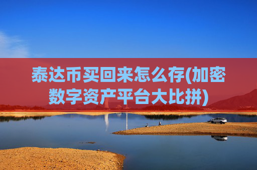 泰达币买回来怎么存(加密数字资产平台大比拼)