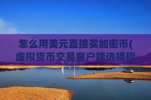 怎么用美元直接买加密币(虚拟货币交易客户端选择指南)