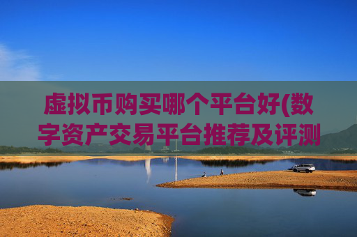虚拟币购买哪个平台好(数字资产交易平台推荐及评测)