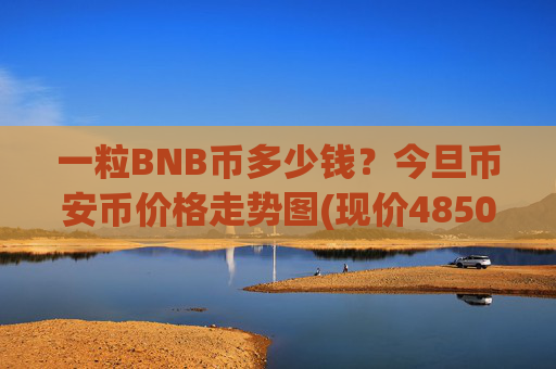 一粒BNB币多少钱?今旦币安币价格走势图(现价4850.48元)