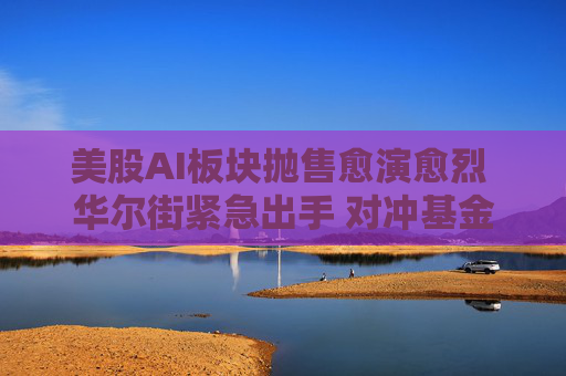 美股AI板块抛售愈演愈烈 华尔街紧急出手 对冲基金总杠杆率增幅刷新历史纪录