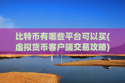 比特币有哪些平台可以买(虚拟货币客户端交易攻略)