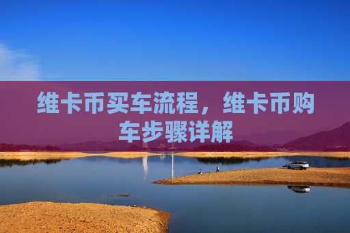 维卡币买车流程,维卡币购车步骤详解