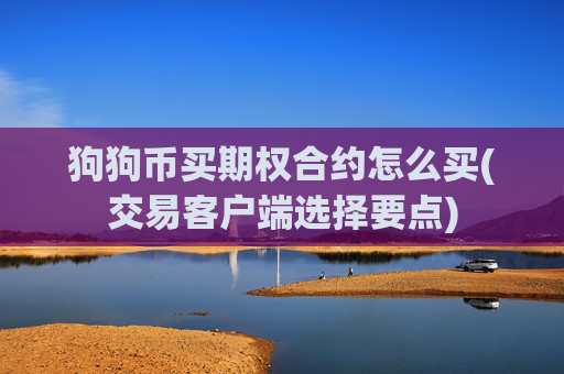 狗狗币买期权合约怎么买(交易客户端选择要点)