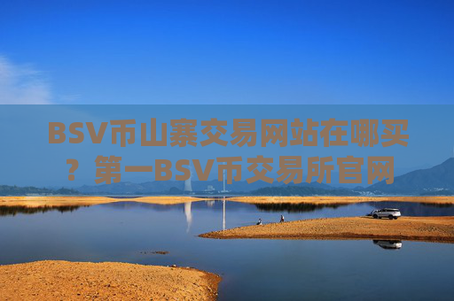 BSV币山寨交易网站在哪买?第一BSV币交易所官网