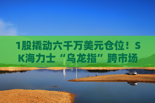 1股撬动六千万美元仓位！SK海力士“乌龙指”跨市场传导 加密多头遭强平