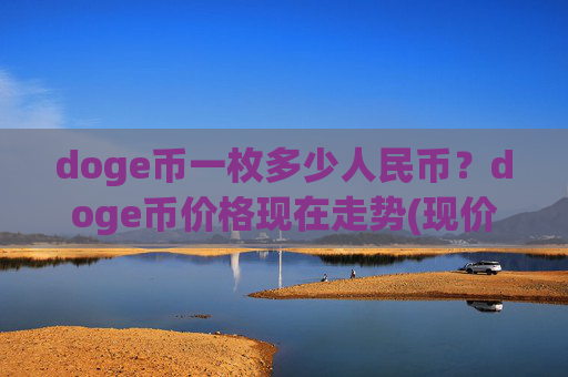 doge币一枚多少人民币?doge币价格现在走势(现价3.2163元)