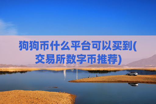 狗狗币什么平台可以买到(交易所数字币推荐)