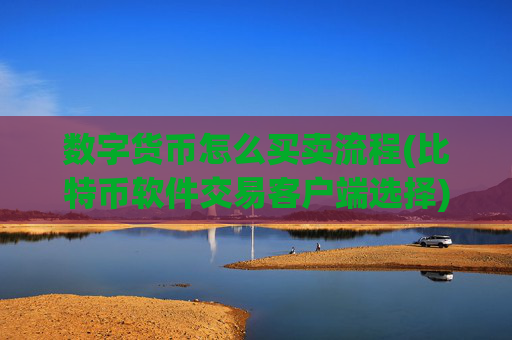 数字货币怎么买卖流程(比特币软件交易客户端选择)