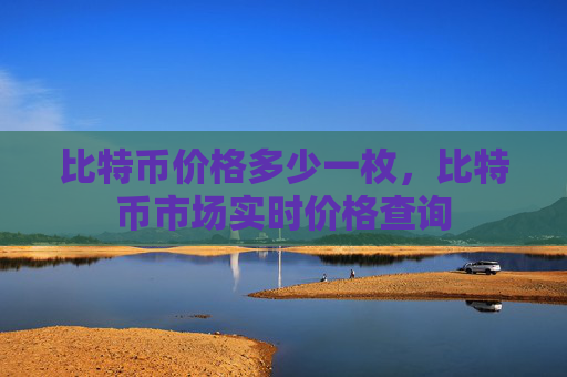 比特币价格多少一枚,比特币市场实时价格查询
