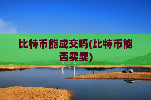 比特币能成交吗(比特币能否买卖)