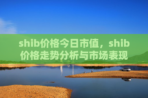 shib价格今日市值，shib价格走势分析与市场表现