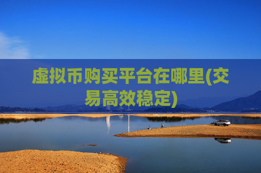 虚拟币购买平台在哪里(交易高效稳定)