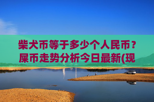 柴犬币等于多少个人民币?屎币走势分析今日最新(现价0.000158元)