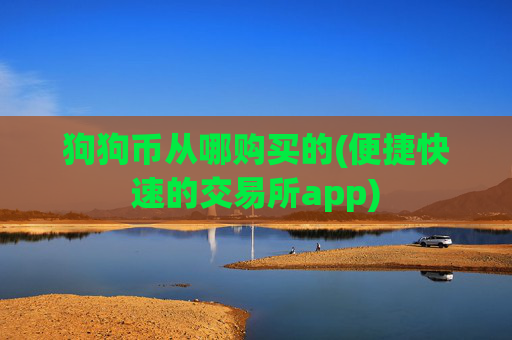 狗狗币从哪购买的(便捷快速的交易所app)