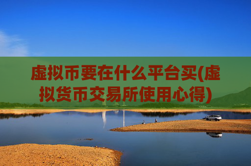 虚拟币要在什么平台买(虚拟货币交易所使用心得)