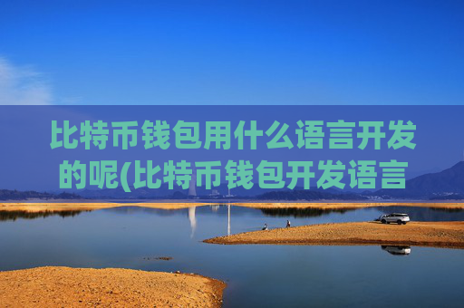 比特币钱包用什么语言开发的呢(比特币钱包开发语言是什么)