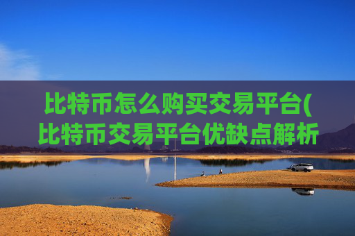 比特币怎么购买交易平台(比特币交易平台优缺点解析)