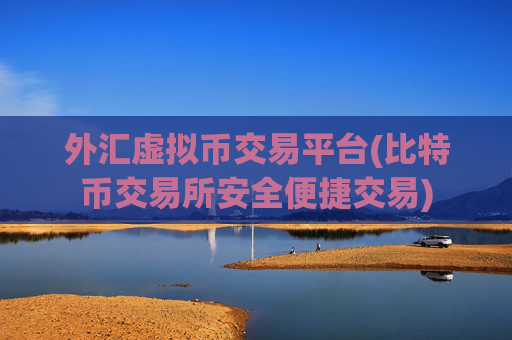 外汇虚拟币交易平台(比特币交易所安全便捷交易)