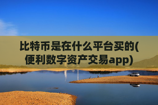 比特币是在什么平台买的(便利数字资产交易app)