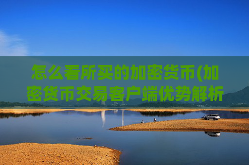 怎么看所买的加密货币(加密货币交易客户端优势解析)