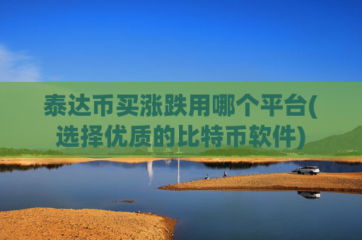 泰达币买涨跌用哪个平台(选择优质的比特币软件)