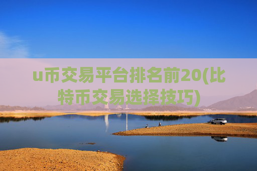 u币交易平台排名前20(比特币交易选择技巧)