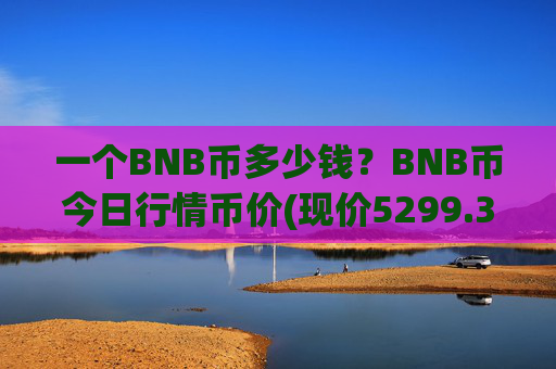 一个BNB币多少钱？BNB币今日行情币价(现价5299.34元)