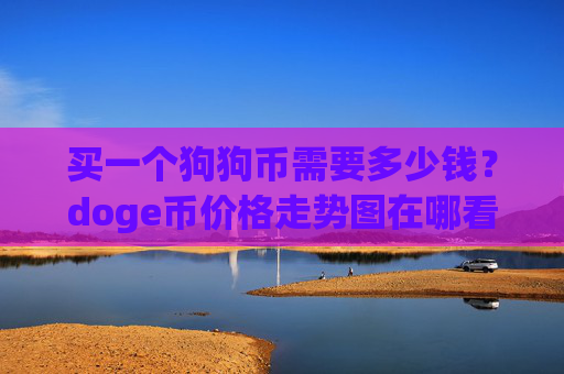 买一个狗狗币需要多少钱?doge币价格走势图在哪看(现价3.1628元)