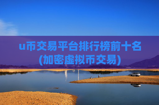 u币交易平台排行榜前十名(加密虚拟币交易)