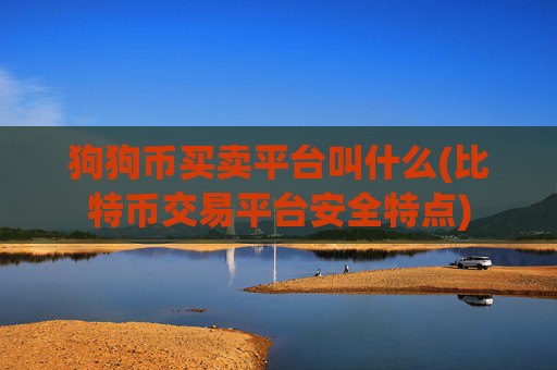 狗狗币买卖平台叫什么(比特币交易平台安全特点)
