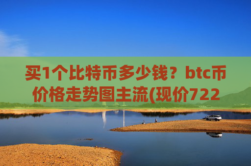 买1个比特币多少钱？btc币价格走势图主流(现价722057.06元)