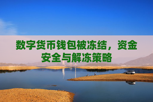 数字货币钱包被冻结，资金安全与解冻策略