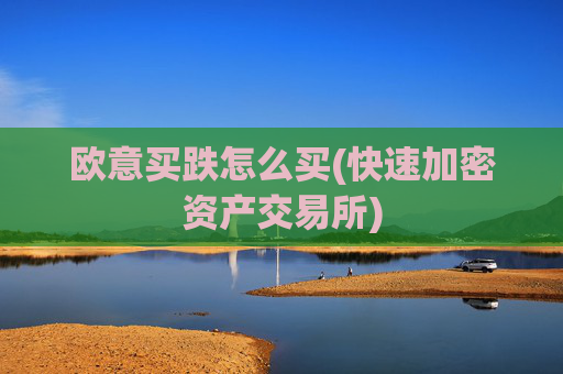 欧意买跌怎么买(快速加密资产交易所)