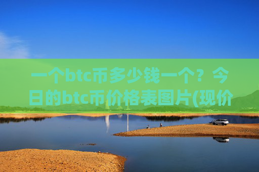 一个btc币多少钱一个?今日的btc币价格表图片(现价730441.95元)