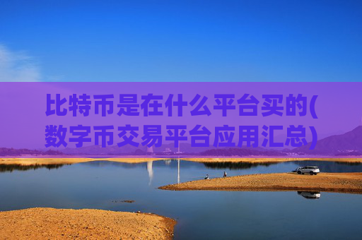 比特币是在什么平台买的(数字币交易平台应用汇总)