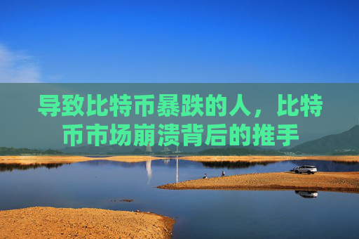 导致比特币暴跌的人,比特币市场崩溃背后的推手