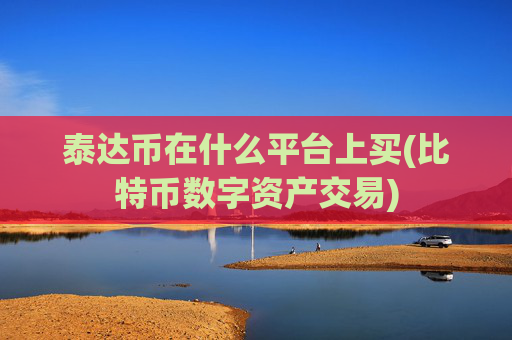 泰达币在什么平台上买(比特币数字资产交易)