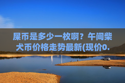 屎币是多少一枚啊？午间柴犬币价格走势最新(现价0.00022507元)