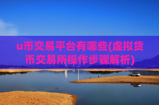 u币交易平台有哪些(虚拟货币交易所操作步骤解析)