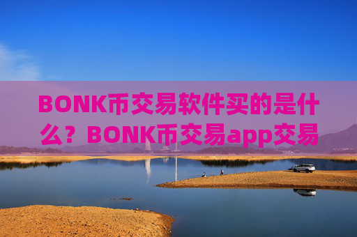 BONK币交易软件买的是什么?BONK币交易app交易额排名