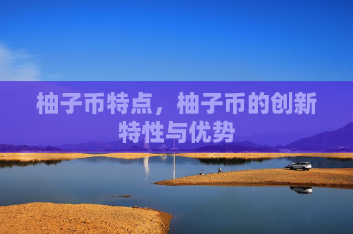 柚子币特点,柚子币的创新特性与优势