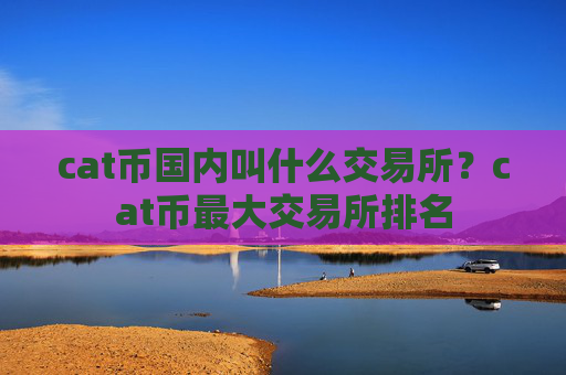 cat币国内叫什么交易所?cat币最大交易所排名