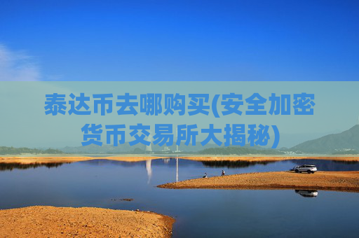 泰达币去哪购买(安全加密货币交易所大揭秘)