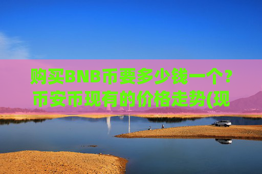 购买BNB币要多少钱一个?币安币现有的价格走势(现价5308.3元)